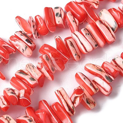Dyed Natural Trochus Shell Beads Strands SSHEL-C013-09D-1