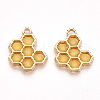 Epoxy Resin Pendants RESI-S386-004B-1
