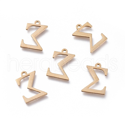 304 Stainless Steel Charms STAS-K215-21G-1