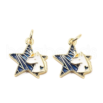 Brass Enamel Charms KK-L237-028G-06-1