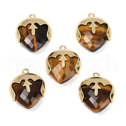 Natural Tiger Eye Faceted Pendants G-K347-09G-02-1