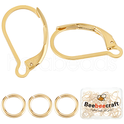 Beebeecraft 40Pcs 304 Stainless Steel Leverback Earring Findings FIND-BBC0003-18-1