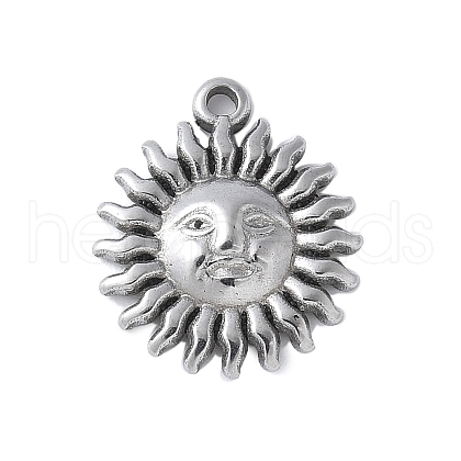 304 Stainless Steel Charms STAS-E548-06P-1