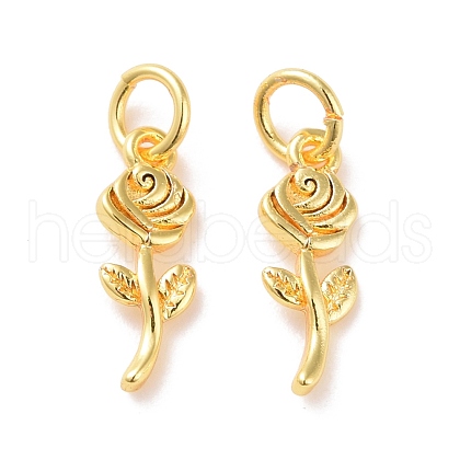 Brass Charms KK-G418-18G-1