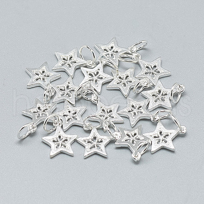 925 Sterling Silver Charms STER-T002-298S-1