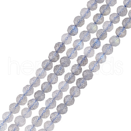 GOMAKERER 2 Strands Natural Labradorite Beads Strands G-GO0001-65-1