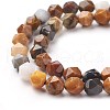 Natural Petrified Wood Beads Strands X-G-F545-F02-2