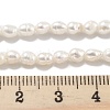 Natural Cultured Freshwater Pearl Beads Strands PEAR-P062-01A-5