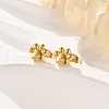 PVD Vacuum Plating 304 Stainless Steel Dog Paw Print Stud Earrings for Women EJEW-P212-15G-2