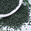 MIYUKI Delica Beads X-SEED-J020-DB0458-4