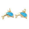 Rack Plating Brass Micro Pave Clear Cubic Zirconia Pendants KK-P268-15G-2