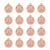 Golden Plated Alloy Enamel Charms X-ENAM-S118-07H-2