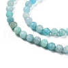 Natural Amazonite Beads Strands X-G-P500-01B-01-4