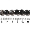 Natural Larvikite Beads Strands G-R190-10mm-55-5