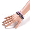 Chips Natural Mixed Stone Stretch Bracelets BJEW-JB05642-4