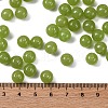 Imitation Jade Glass Seed Beads SEED-Z004-J8MM-03-4