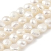 Natural Cultured Freshwater Pearl Beads Strands PEAR-A006-08H-2