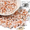 Baking Paint Glass Seed Beads X1-SEED-F006-01A-10-1
