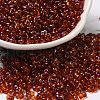 Spray Painted Glass Seed Beads SEED-F005-05A-05-1