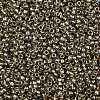 TOHO Round Seed Beads X-SEED-TR11-0993-2