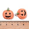 Halloween Theme Opaque Resin Pendants RESI-N039-86-3