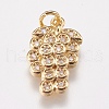 Brass Micro Pave Cubic Zirconia Charms ZIRC-E147-30G-1