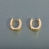 Elegant Oval Brass Hoop Earrings PF7010-4