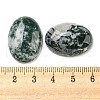 Natural Tree Agate Cabochons G-M430-01-3