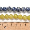 Natural Blue Spot Jasper/Flower Amazonite/Labradorite/Sesame Jasper/Glass Beads Strands G-P562-C-03-5