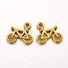 Tibetan Style Alloy Pendants GLF9048Y-2
