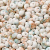Baking Paint Glass Seed Beads SEED-F006-01A-12-3