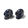 Halloween Natural Sodalite Display Decorations DJEW-K015-31-1