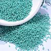 MIYUKI Delica Beads SEED-X0054-DB0166-4