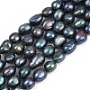 Natural Cultured Freshwater Pearl Beads Strands PEAR-P064-20K-05D-2