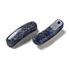 Natural Blue Spot Jasper Connector Charms G-G095-01B-2