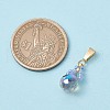 Glass Seed Beaded Pendants PALLOY-MZ00590-01-2