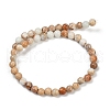Dyed Natural Regalite/Imperial Jasper/Sea Sediment Jasper Beads Strands G-B124-C04-11-3