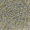 12/0 Imitation Jade Glass Seed Beads SEED-S035-02A-04-3