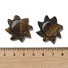 Natural Tiger Eye Cabochons G-Q190-01D-3