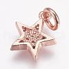 Brass Micro Pave Cubic Zirconia Charms ZIRC-G087-35-3