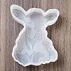 DIY Silicone Mold DIY-A051-04D-1