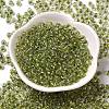 6/0 Transparent Colours Glass Seed Beads SEED-P006-01A-06-2