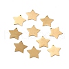 Ion Plating(IP) 304 Stainless Steel Pendants STAS-F271-04C-G-1
