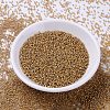 MIYUKI Delica Beads X-SEED-J020-DB2043-2