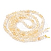 Natural Citrine Beads Strands G-L622-C05-3mm-B-3