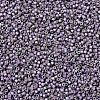 MIYUKI Delica Beads X-SEED-J020-DB1065-1
