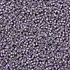 MIYUKI Delica Beads X-SEED-J020-DB1065-2