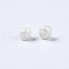 Glass Seed Beads SEED-S060-A-F207-6