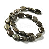 Natural Wealth Stone Jasper Beads Strands G-L242-32-3