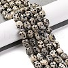 Natural Dalmatian Jasper Beads Strands G-G146-A24-01-2